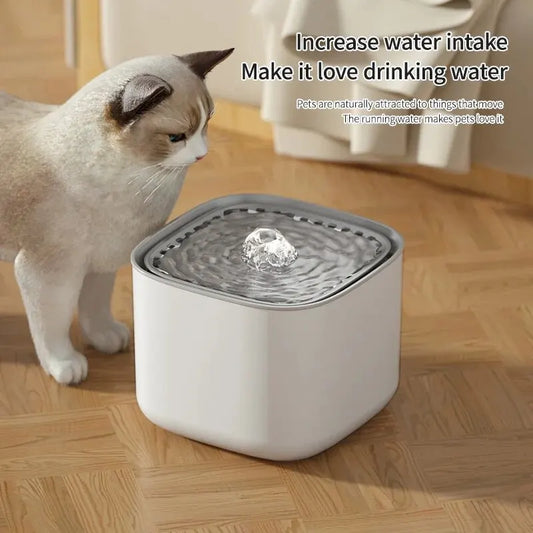 3L Large Capacity Canine Cat Dog Pet Circulating Filter Pet Fountain Feeder Automatic Water Dispenser with USB Port for Pets